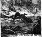 Devoured by an alligator