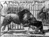 A Foolhardy Feat