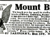 Mount Birds